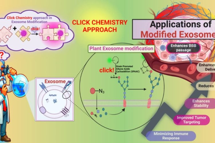 An Innovative Approach to Cancer Treatment: Click-Modified Exosomes Pave the Way for Targeted, Personalized Therapy